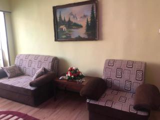 La SYMO apartament STRAJA Lupeni - Lupeni - 8