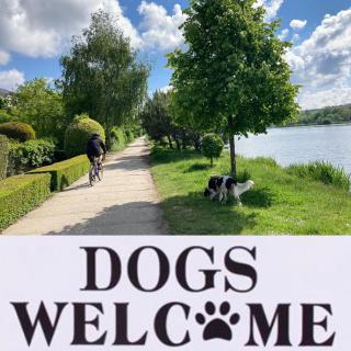 Apartments near the pond - 5