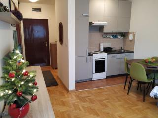 Apartment Xenia - Novi Sad - 5