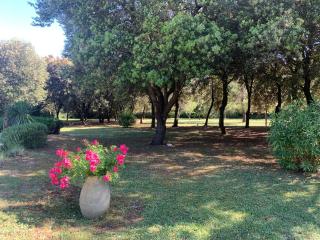 VILLA LOUNA 4 étoiles - Ventenac-Cabardès - 5