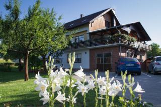 Rooms Marijana Obrovac - 7