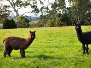 Loddon Retreat- picturesque country escape - 4