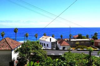 Lazy Lizard Studio - Seixal - 7