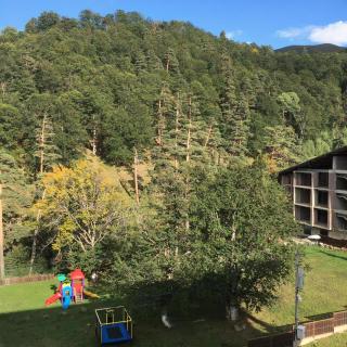 Bakuriani Resort The Valley - Apartment 407 - 1