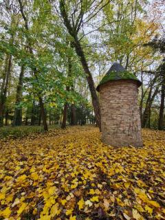 Maison d'hôtes Au Cœur des Lacs - 3