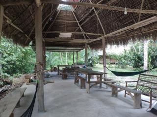 Shintuyahotsprings - 1