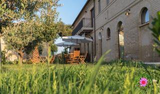 Bassarì - Recanati - 9