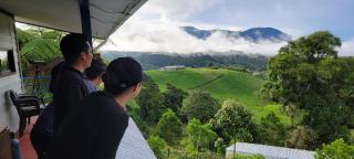 Volcano Panoramic Views - 0