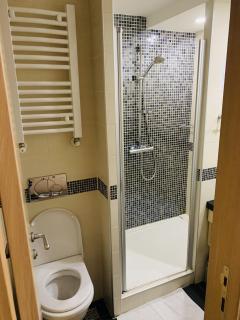 Apartmani Kopaonik Centar Maglic - 4