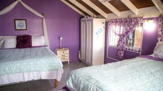 Castle Cove -Ocean Front Villa - Westlands - 8