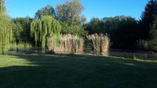 Ferienhaus am Mittelberg - 4