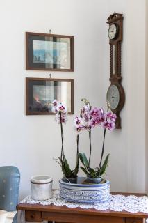 Capitano Nino Guest House - Meta - 2