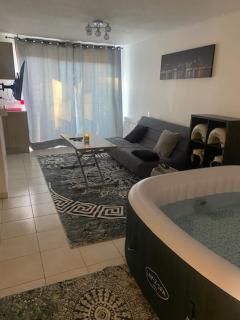 Superbe appartement avec balcon et Jaccuzzi ! - 7