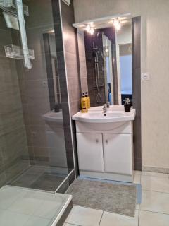 Superbe appartement avec balcon et Jaccuzzi ! - Pau - 5