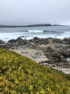 Carmel Comfort - 2