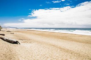 Driftaway Dreamer - 1