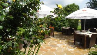 Landhotel-Restaurant Schwalbennest - 5