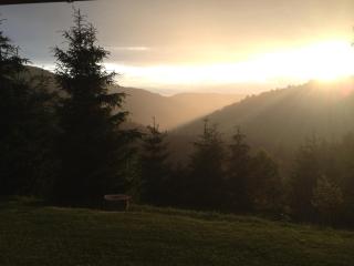 Kings Valley - Sunny Botesti - 6