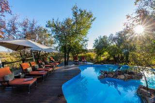 Impodimo Game Lodge - Madikwe Game Reserve - 8