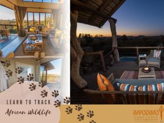 Impodimo Game Lodge - Madikwe Game Reserve - 9
