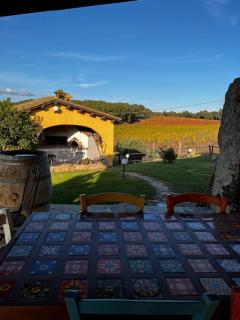 Cantina Perandria - Monti - 9