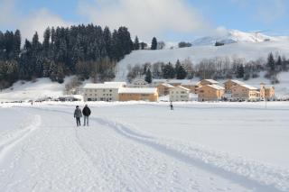 Pradas Resort Brigels - 7