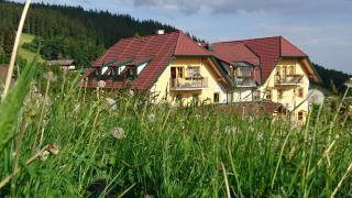 Wildwiesenhof - Miesenbach - 9