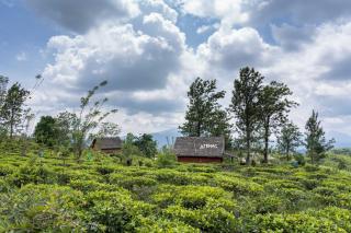 Nelinsa Resort and Spa - Matale - 3