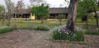 Lumbini Buddha Garden Resort - Rummindei - 4
