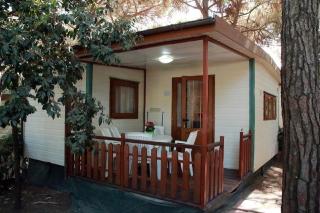 Camping Free Beach - 2