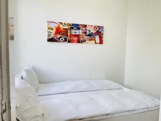 aday - Aalborg mansion - Big apartment with garden - Aalborg - 5