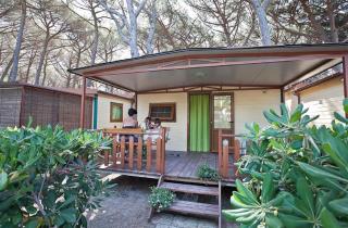 Camping Free Beach - Marina di Bibbona - 8