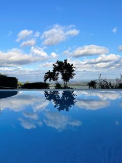 Pera da Serra - Turismo no Espaço Rural - Lousã - 7