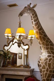 Chopin Hotel - Lviv - 5