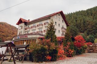 Vila Briana - Păltiniş - 0