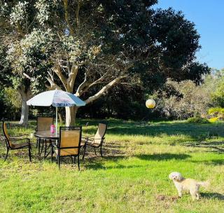 Rancho Garden Home - Rancho Santa Fe - 9