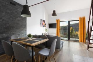 APARTAMENT SKANDYNAWSKI 2-poziomowy SAUNA JACUZZI - Szczyrk - 4