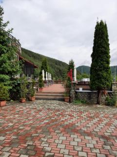 Vila Briana - Păltiniş - 7