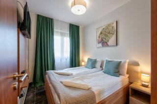 Zlatibor Hills Stars - 3