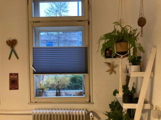 Wohnung plus Garten in Lüneburgs Zentrum - Luneburgo - 2
