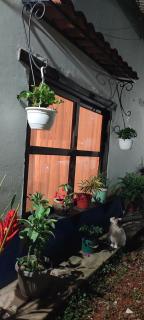 Finca Cafetera Los Ángeles - 2