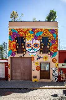 La Casa de Pino - Città di Oaxaca - 0