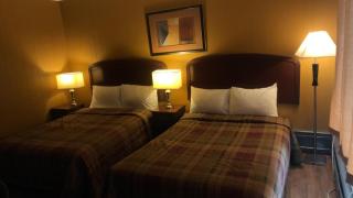 Moose Motel - 0
