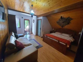 Casa Serban - 3