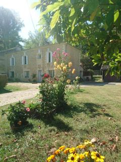 Aux vieux fours - Noaillac - 5