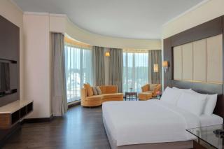 Radisson Blu Plaza Hotel Mysore - Mysore - 2