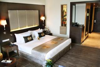 Radisson Blu Plaza Hotel Mysore - Mysore - 5