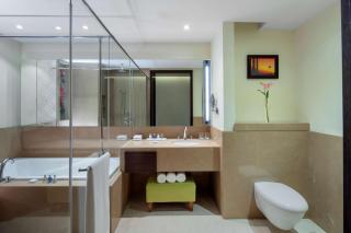 Radisson Blu Plaza Hotel Mysore - Mysore - 2