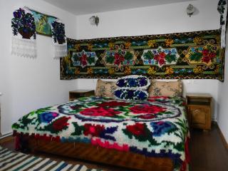 Casa cu traditie - Sîrbi - 7