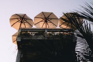 Ceylon Sliders - Weligama - 2